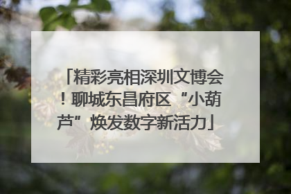 精彩亮相深圳文博会！聊城东昌府区“小葫芦”焕发数字新活力