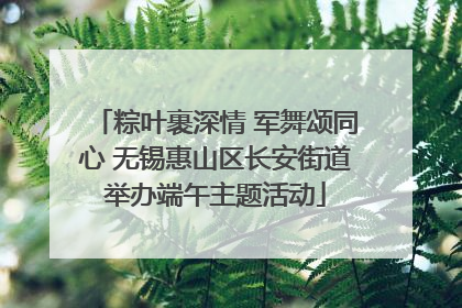 粽叶裹深情 军舞颂同心 无锡惠山区长安街道举办端午主题活动