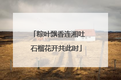 粽叶飘香连湘吐 石榴花开共此时