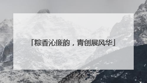 粽香沁廉韵，青创展风华