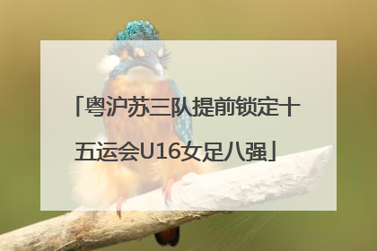 粤沪苏三队提前锁定十五运会U16女足八强