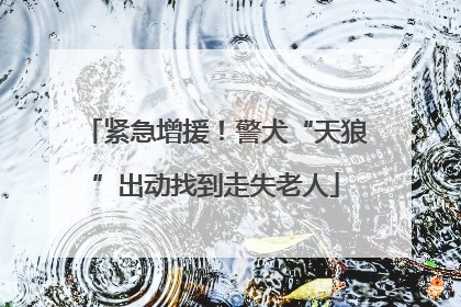 紧急增援！警犬“天狼”出动找到走失老人