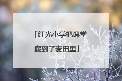 红光小学把课堂搬到了麦田里