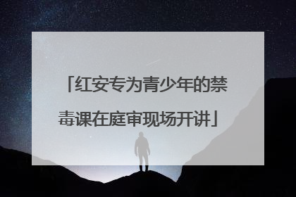红安专为青少年的禁毒课在庭审现场开讲