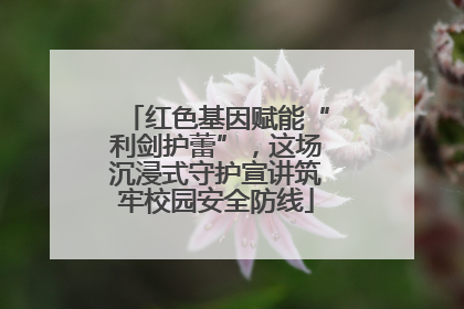 红色基因赋能“利剑护蕾”，这场沉浸式守护宣讲筑牢校园安全防线