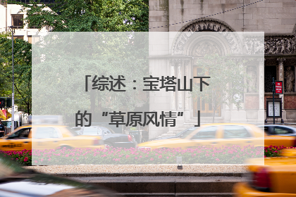 综述：宝塔山下的“草原风情”