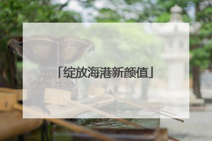 绽放海港新颜值