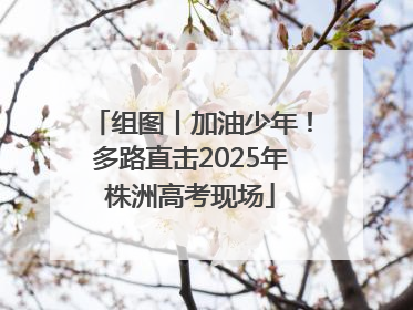 组图丨加油少年！多路直击2025年株洲高考现场