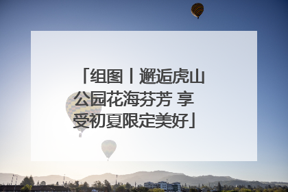组图丨邂逅虎山公园花海芬芳 享受初夏限定美好