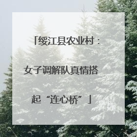 绥江县农业村：女子调解队真情搭起“连心桥”