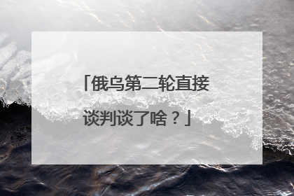 俄乌第二轮直接谈判谈了啥？