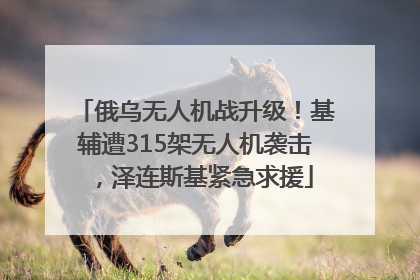 俄乌无人机战升级！基辅遭315架无人机袭击，泽连斯基紧急求援