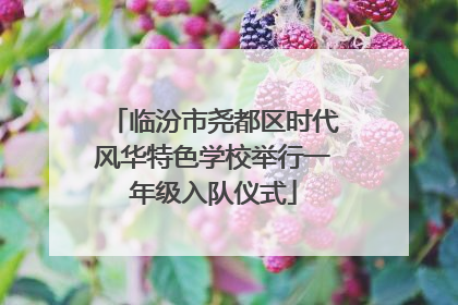 临汾市尧都区时代风华特色学校举行一年级入队仪式