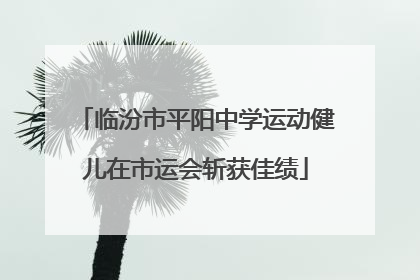 临汾市平阳中学运动健儿在市运会斩获佳绩