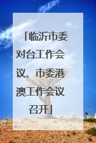 临沂市委对台工作会议、市委港澳工作会议召开