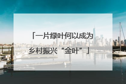 一片绿叶何以成为乡村振兴“金叶”