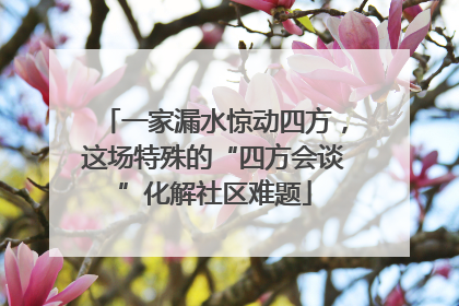 一家漏水惊动四方，这场特殊的“四方会谈”化解社区难题