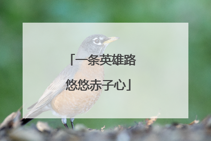 一条英雄路 悠悠赤子心