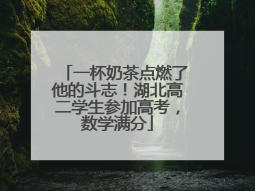 一杯奶茶点燃了他的斗志！湖北高二学生参加高考，数学满分