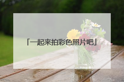 一起来拍彩色照片吧