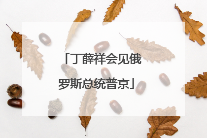 丁薛祥会见俄罗斯总统普京