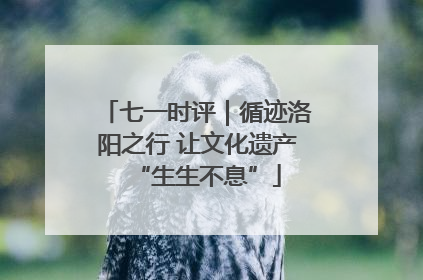 七一时评｜循迹洛阳之行 让文化遗产“生生不息”