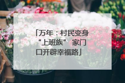 万年：村民变身“上班族” 家门口开辟幸福路