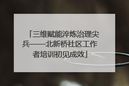 三维赋能淬炼治理尖兵——北新桥社区工作者培训初见成效