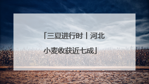 三夏进行时丨河北小麦收获近七成