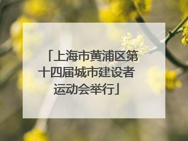 上海市黄浦区第十四届城市建设者运动会举行