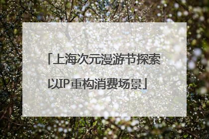 上海次元漫游节探索以IP重构消费场景