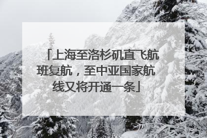 上海至洛杉矶直飞航班复航，至中亚国家航线又将开通一条