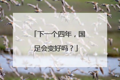下一个四年，国足会变好吗？