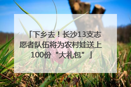 下乡去！长沙13支志愿者队伍将为农村娃送上100份“大礼包”