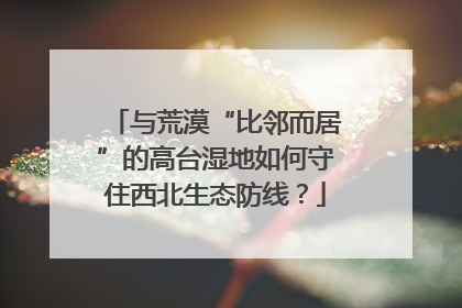 与荒漠“比邻而居”的高台湿地如何守住西北生态防线？