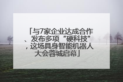 与7家企业达成合作、发布多项“硬科技”，这场具身智能机器人大会蓉城启幕