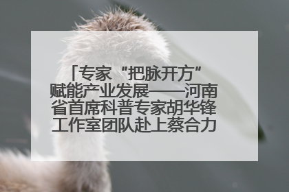 专家“把脉开方” 赋能产业发展——河南省首席科普专家胡华锋工作室团队赴上蔡合力助推食用菌产业振兴