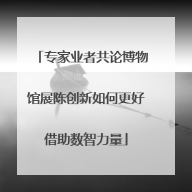 专家业者共论博物馆展陈创新如何更好借助数智力量