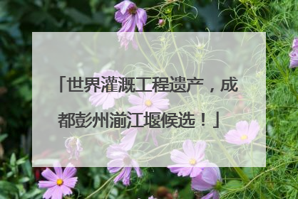世界灌溉工程遗产，成都彭州湔江堰候选！