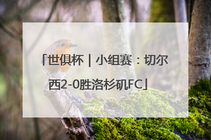 世俱杯｜小组赛：切尔西2-0胜洛杉矶FC