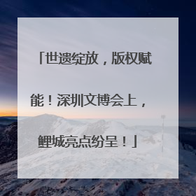 世遗绽放，版权赋能！深圳文博会上，鲤城亮点纷呈！