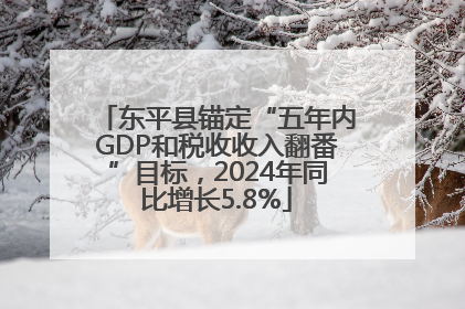 东平县锚定“五年内GDP和税收收入翻番”目标，2024年同比增长5.8%