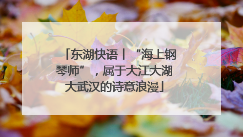 东湖快语丨“海上钢琴师”，属于大江大湖大武汉的诗意浪漫