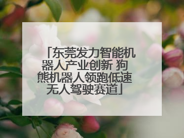 东莞发力智能机器人产业创新 狗熊机器人领跑低速无人驾驶赛道