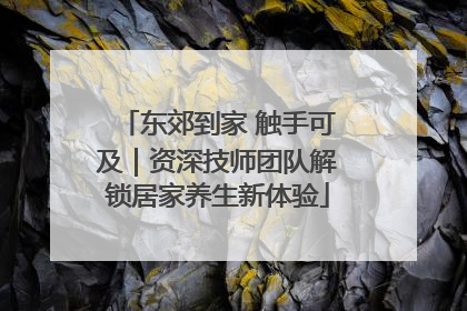 东郊到家 触手可及｜资深技师团队解锁居家养生新体验