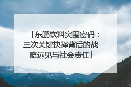 东鹏饮料突围密码：三次关键抉择背后的战略远见与社会责任