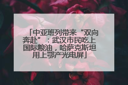 中亚班列带来“双向奔赴”：武汉市民吃上国际粮油，哈萨克斯坦用上鄂产光电屏