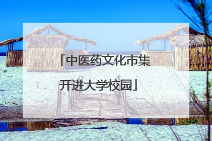 中医药文化市集开进大学校园