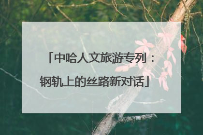 中哈人文旅游专列：钢轨上的丝路新对话