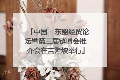 中国—东盟经贸论坛暨第三届链博会推介会在吉隆坡举行
